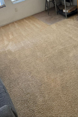 Azad Rug Cleaning carpet cleaning